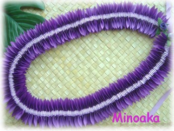 purple　Maunaloa全体写真